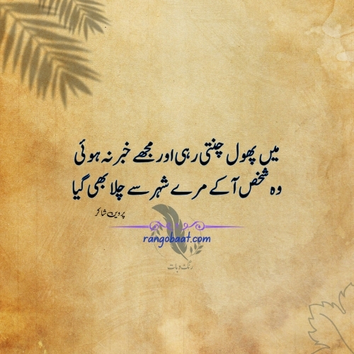 Main Phool Chunti Rahi - Urdu Shayari About Flowers