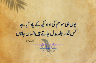 Yun hi mausam ki ada dekh ke yaad aaya hai - Ahmad Faraz Poetry